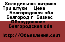 Холодильник-витрина. Три штуки. › Цена ­ 14 000 - Белгородская обл., Белгород г. Бизнес » Оборудование   . Белгородская обл.